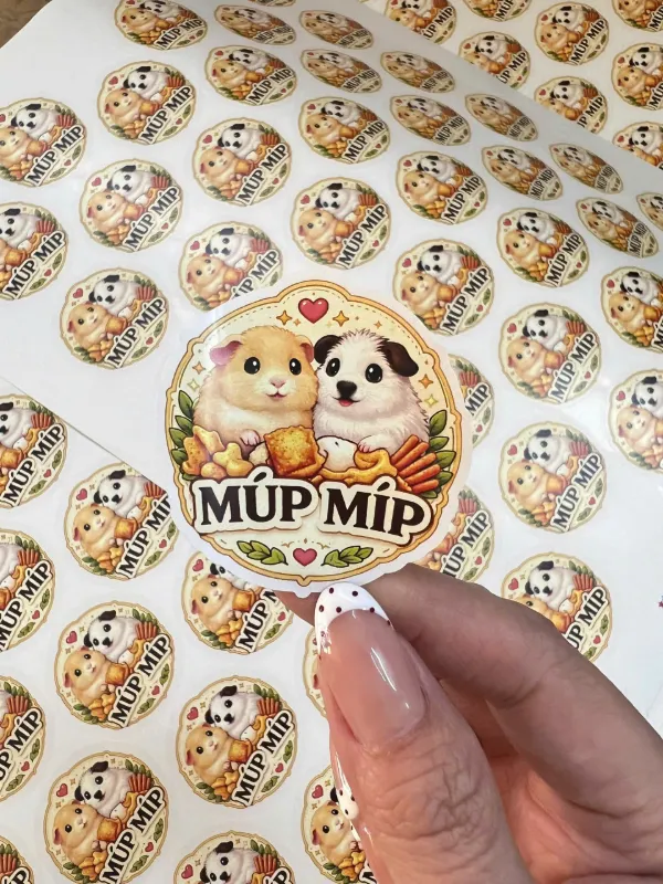 mau thiet ke in an decal gia re tphcm (9)