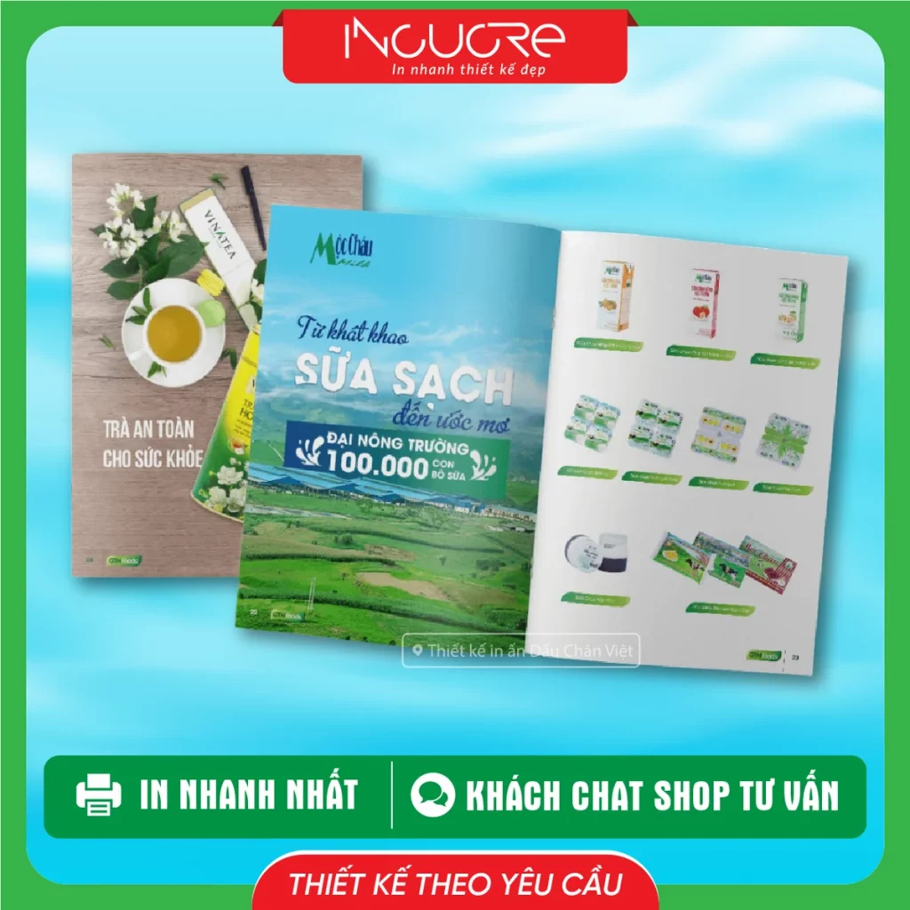 Mẫu Thiết Kế In Ấn Catalogue Giá Rẻ Về Sản Phẩm Trà 