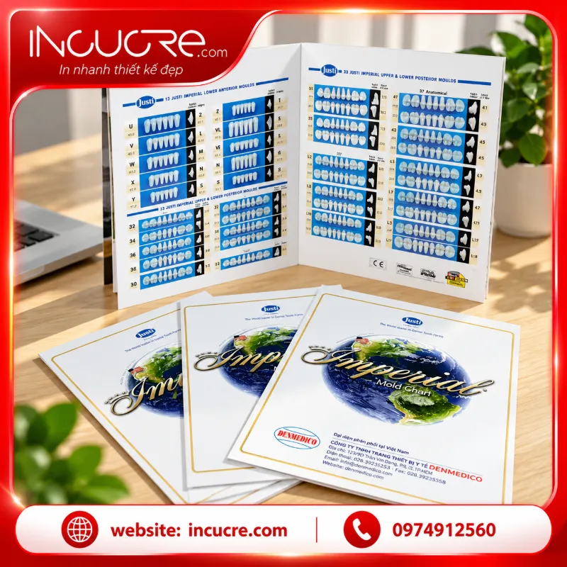 Bộ catalogue khuôn răng chuyên nghiệp