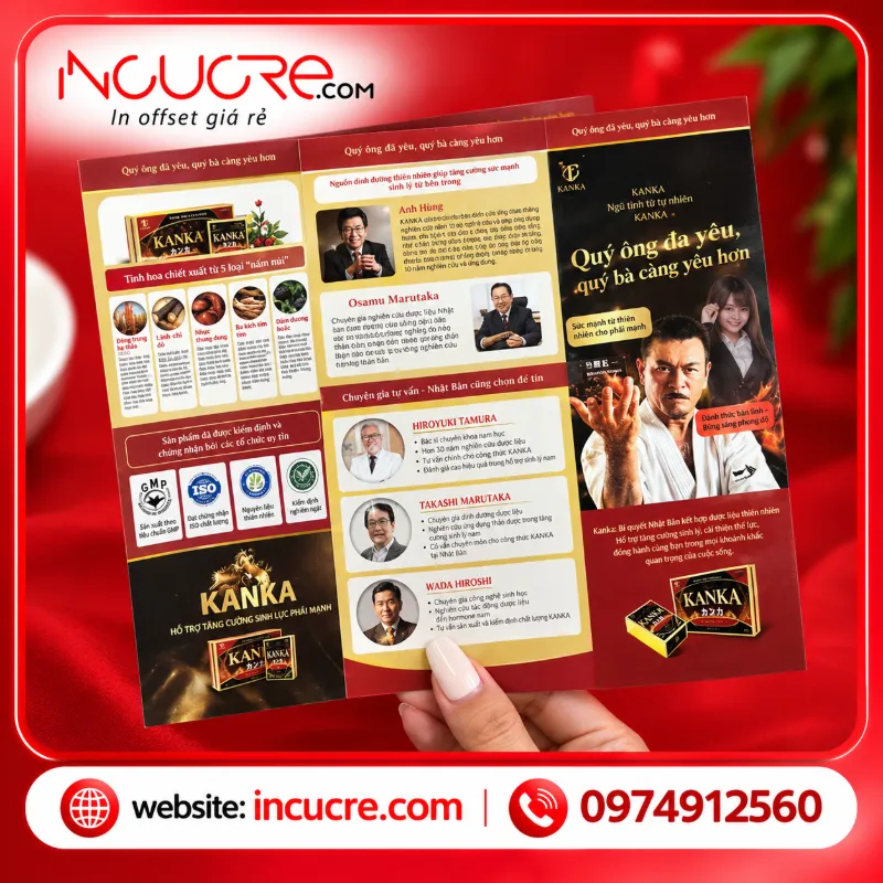 Brochure KANKA nổi bật trong studio đỏ